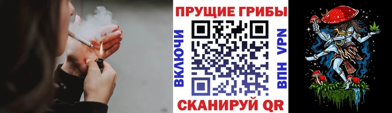 Галлюциногенные грибы мицелий  цена   ОМГ ОМГ онион  Пролетарск 